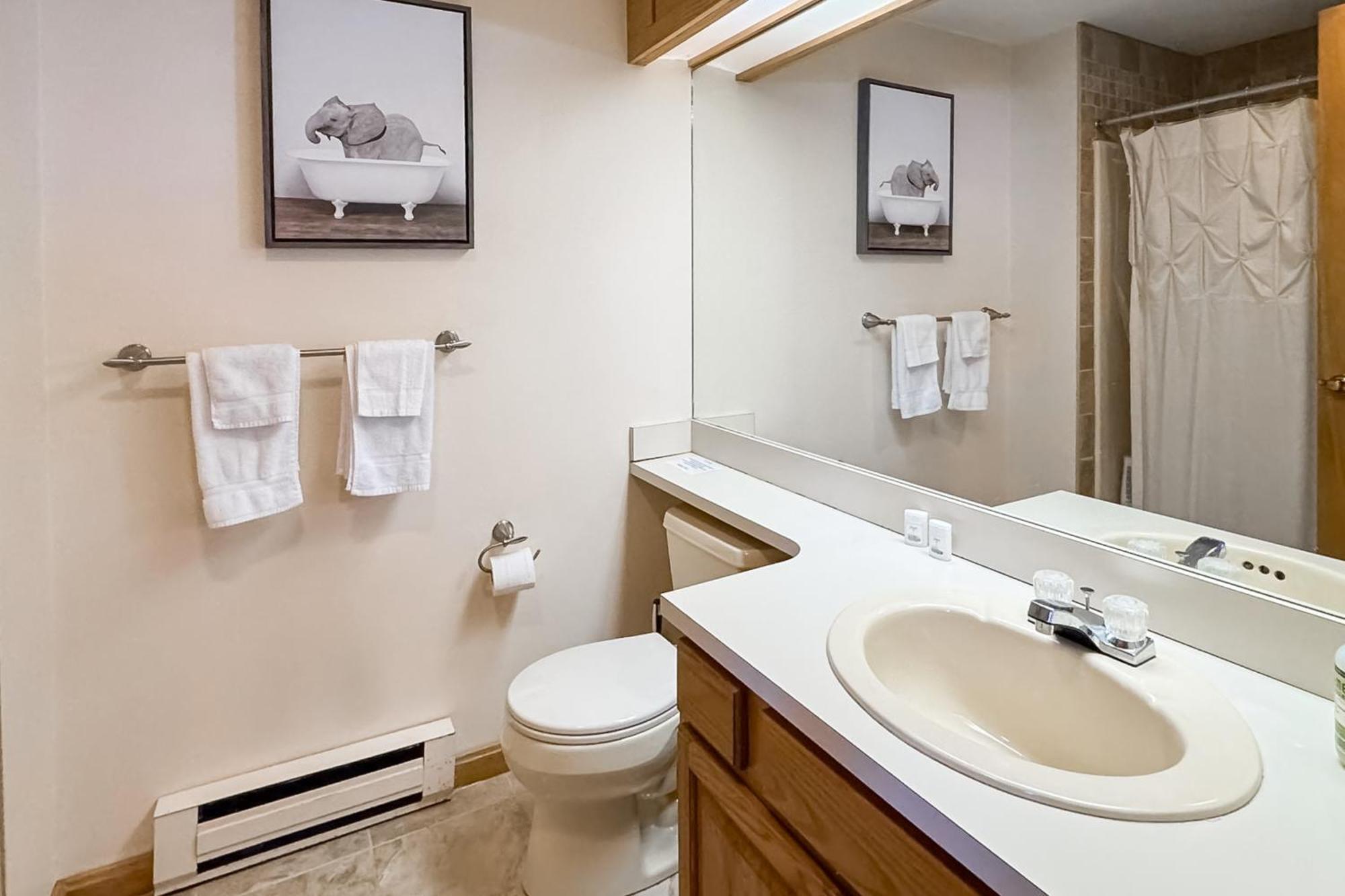Best Views Of Mt Washington Bartlett Extérieur photo